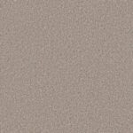 Shake It Up Balboa Mist