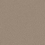 Shake It Up Morning Latte