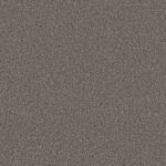 Shake It Up Hammerhead