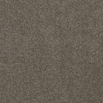 Shake It Up Tree Bark