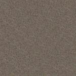 Shake It Up Forever Pewter