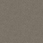 Shake It Up Barely There