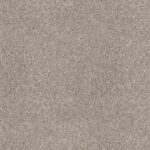 Shake It Up Daytona Sand