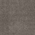 Shake It Up Silversmith