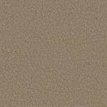 BW - Sunny Days (Pure Series Only)